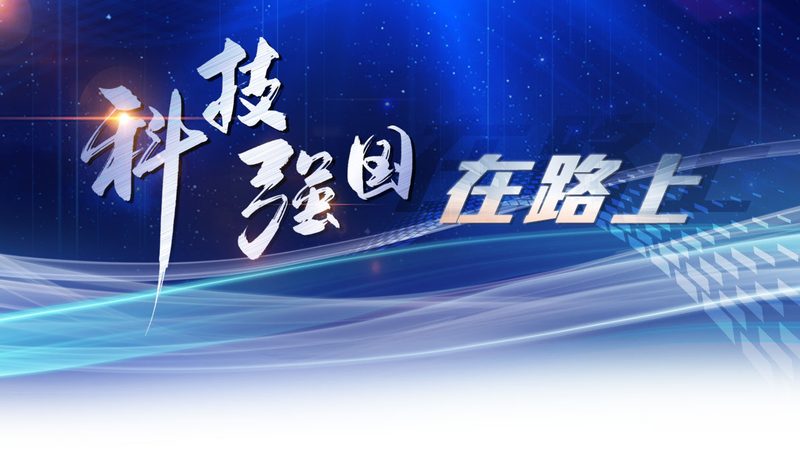 数据仓库选型：揭秘企业决策背后的关键因素