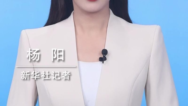 中小企业星型模型：构建高效IT架构的关键**